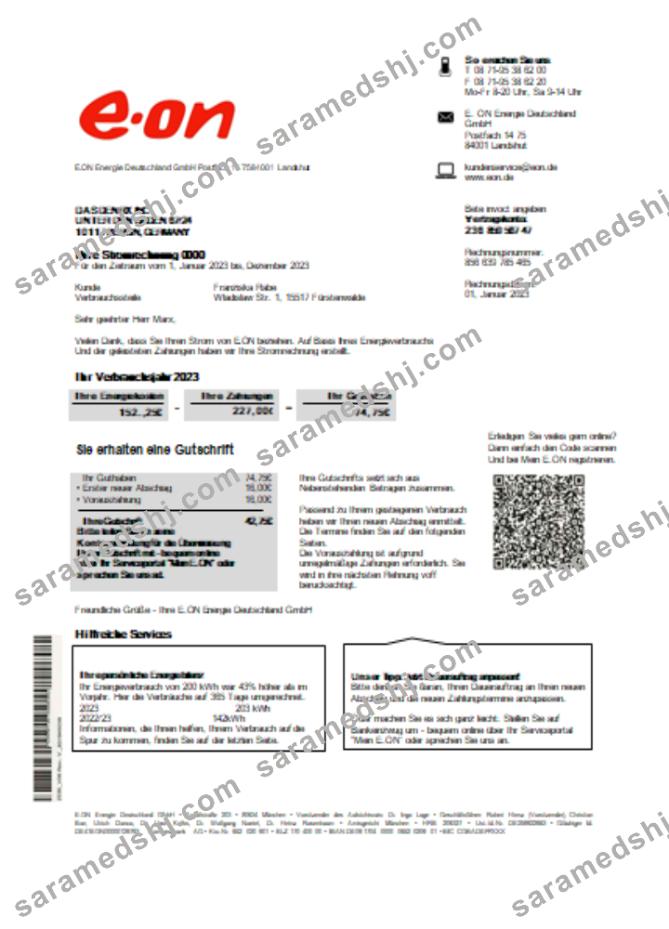Germany E.ON Energie electricity utility business bill SCR